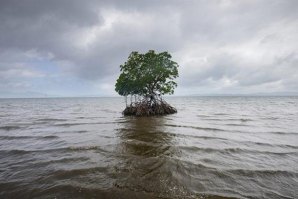 SUBIDA DOS NÍVEIS DO MAR JÁ LEVARAM AO DESAPARECIMENTO DE DUAS ILHAS NA INDONÉSIA