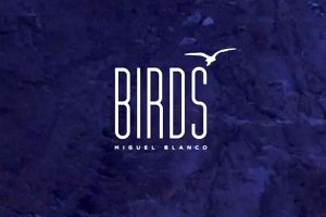 &#039;Birds&#039; com Miguel Blanco