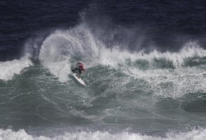 Vasco Ribeiro