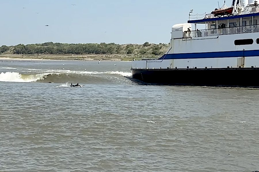 Sem ondas? Ben Gravy foi atrás de ondas provocadas por um Ferry