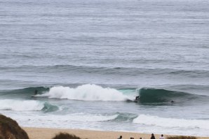 NO FREE SURF, ESTA QUARTA, COM FANNING E WILSON