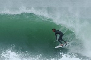 KOLOHE ANDINO: BACK TO THE BASICS