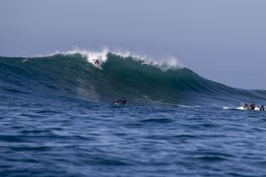 Ivo Cação em Mavericks