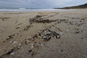 Pequenas bolas de plástico estão a dar à costa na Galiza depois de um barco ter perdido 15 toneladas do material em Dezembro