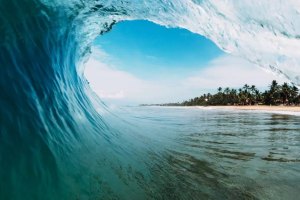 fonte da imagem - euronews.com