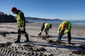 O pellets de plástico que foram perdidos no mar já começaram a chegar à costa portuguesa