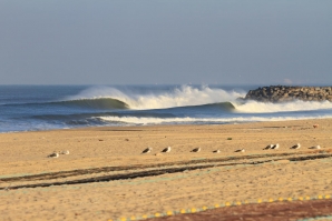 Prozis Pro Junior Espinho está on!