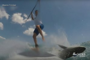 TUBARÃO CHOCA COM STAND UP PADDLE