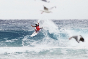 JULIAN WILSON DE ROSA CONTRA O CANCRO DA MAMA