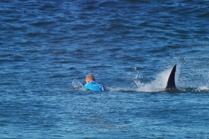 O encontro de Fanning com um tubarão em J-Bay ainda dá que falar