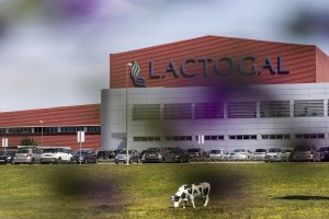 Fábrica da Lactogal na freguesia de Modivas, em Vila do Conde, distrito do Porto LUSA/JOSÉ COELHO