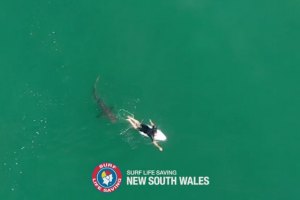 IMAGENS MOSTRAM MATT WILKINSON ESCAPAR POR POUCO A ATAQUE DE TUBARÃO