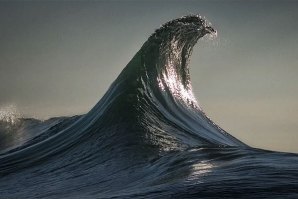 A Surf Art de Ray Collins &amp; Armand Dijcks