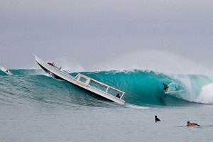 A BELEZA E PERFEIÇÃO DE RIFLES