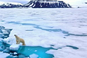 Aumento das temperaturas a caminho de atingir um novo limite nos próximos cinco anos