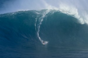 Antonio Laureano a mostrar muita coragem e pericia neste autentico monstro em Jaws