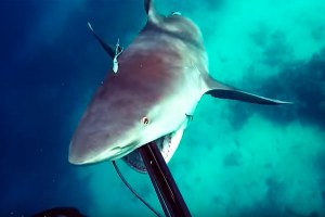 QUANDO SE ESCAPA POR MUITO POUCO