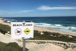 Praias fechadas após ataques de tubarão.