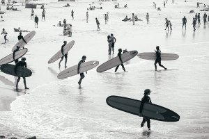 Gliding Barnacles 2022