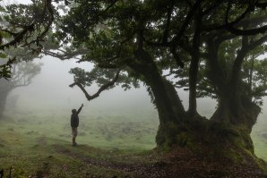 Abiding Madeira”: Alex Botelho, surf e a força milenar da ilha