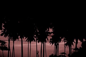 “Enthusiasts” - um filme de surf diferente, estranho e brilhante com Eithan Osborne e Chippa Wilson