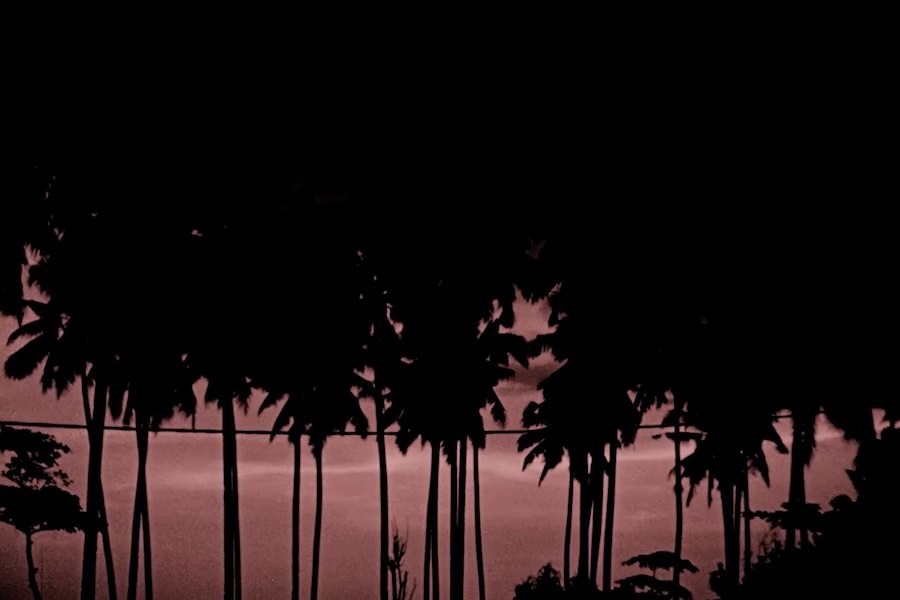 “Enthusiasts” - um filme de surf diferente, estranho e brilhante com Eithan Osborne e Chippa Wilson