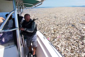 Vergonhoso. Um autêntico mar de lixo no Mar das Caraíbas. 