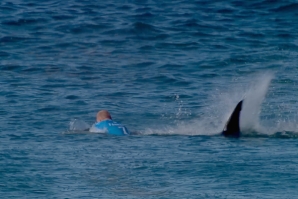 Momento em que Fanning se deita na Prancha e se vê o tamanho da Barbatana do animal