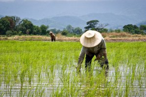 Novos métodos, sementes e terrenos férteis prontos para a inovação. 