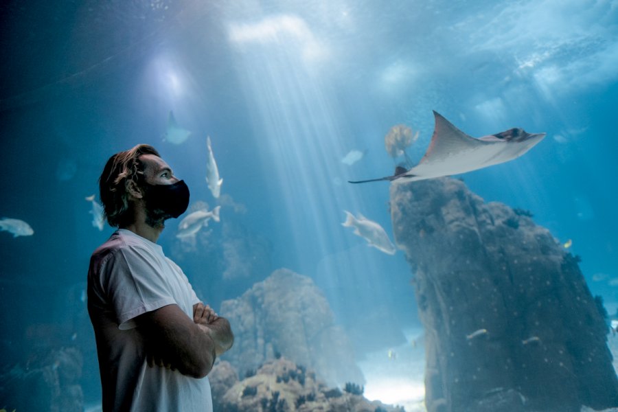 Frederico Morais a observar o Oceanário de Lisboa