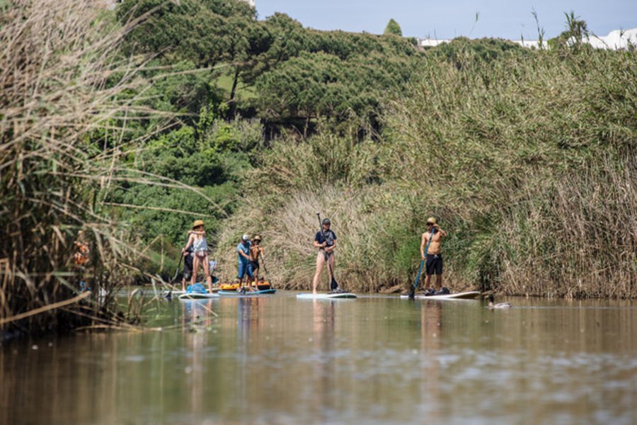 Iniciativa Ambiental na Foz do Lizandro: Comunidade une esforços para limpar o Rio Lizandro
