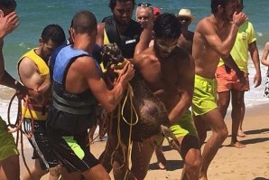 &quot;Júlio&quot; foi resgatado a nadar a cerca de 300 metros da praia.