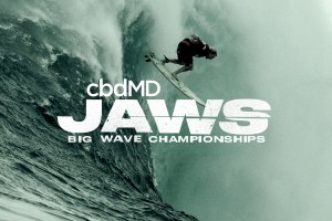 EMPRESA DE CANABIDIOL FAZ PARCERIA COM A WSL