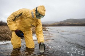 Foto: Dmitry Sharomov / Greenpeace