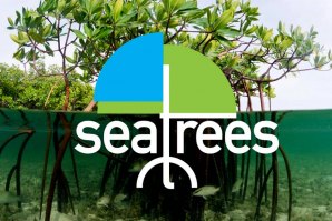Reflorestar oceanos para reverter Aquecimento Global