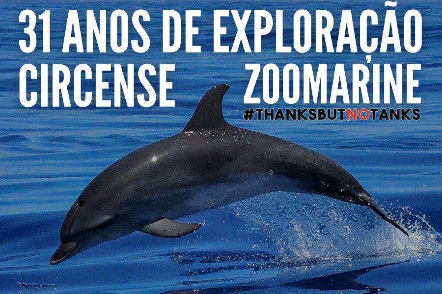 68 Organizações nacionais reuniram-se em frente ao Zoomarine de Albufeira contra a exploração circense dos golfinhos