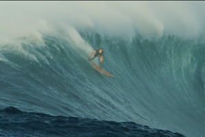 The Habitat: Albee Layer em Jaws