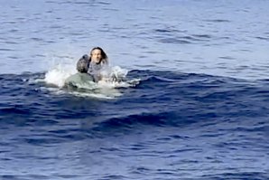 momento da agressão de Tintin ao surfista visitante