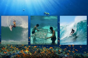 WSL entrega petição "We Are One Ocean" às Nações Unidas