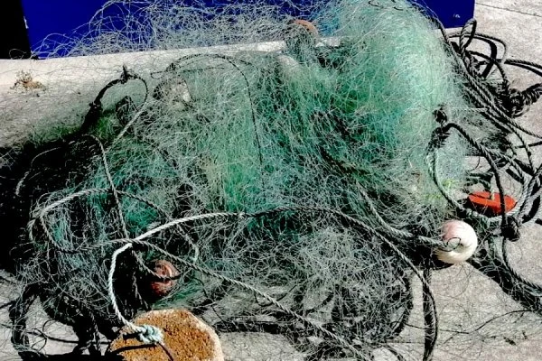 Redes de pesca na zona de rebentação: um risco real no Brasil… e também em Portugal