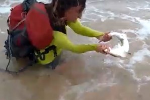 SELFIES COM TUBARÕES E GOLFINHOS NÃO RESULTAM