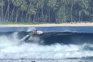 Nas Mentawai com Martim Van Zeller