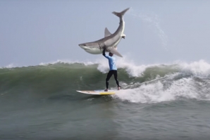 Encontro de Mick Fanning com um tubarão inspira anúncio televisivo