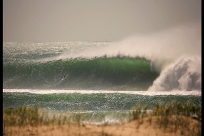 Kirra Point