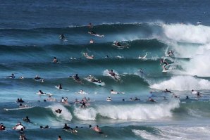 Crowd na Gold Coast serve de estudo e revela números assustadores.