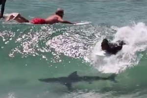 ENCONTRO QUE PODIA TER CORRIDO MAL EM BYRON BAY