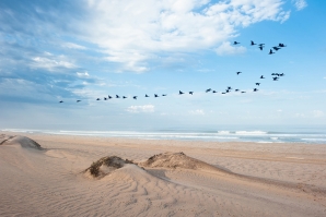 AS ONDAS MAIS LONGAS DO MUNDO: SKELETON BAY