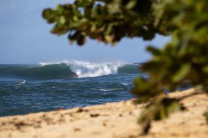 Foto: WSL / TONY HEFF