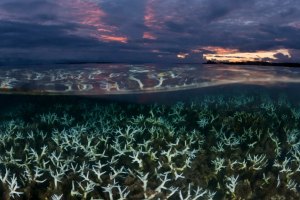 Com o retorno do El Niño em 2023, a subida da temperatura do mar pode ter efeitos sem precedentes no clima
