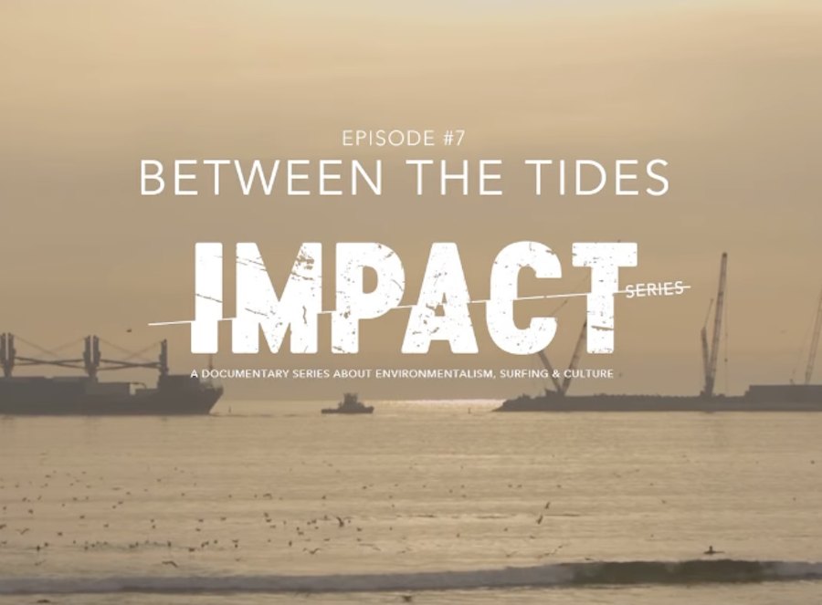 Documentário expõe poluição entre o Douro e a Praia de Matosinhos